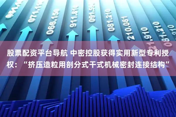 股票配资平台导航 中密控股获得实用新型专利授权：“挤压造粒用剖分式干式机械密封连接结构”