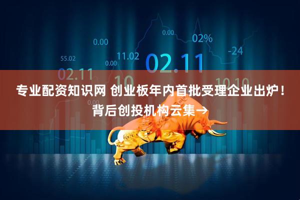 专业配资知识网 创业板年内首批受理企业出炉！背后创投机构云集→