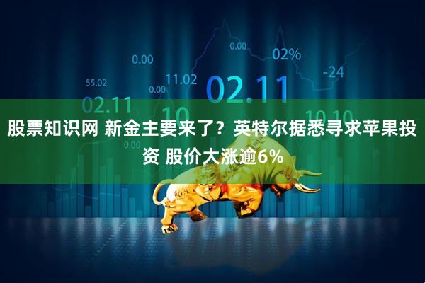 股票知识网 新金主要来了？英特尔据悉寻求苹果投资 股价大涨逾6%